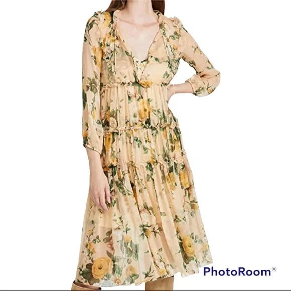 Anthropologie Opt Felicity and floral dress - Picture 2 of 15